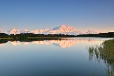 Denali Mountain and Reflection Pond-lijuan-Laminated Photographic Print