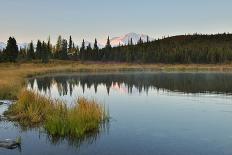 Denali Mountain and Reflection Pond-lijuan-Mounted Photographic Print