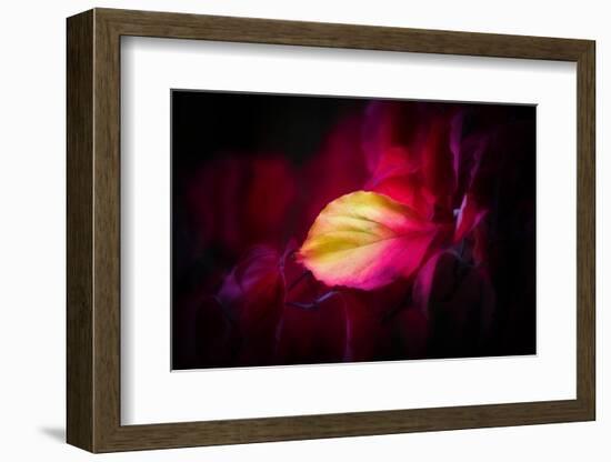 Like a Flame-Philippe Sainte-Laudy-Framed Photographic Print