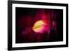 Like a Flame-Philippe Sainte-Laudy-Framed Photographic Print