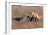 Like Father like Son-Jun Zuo-Framed Giclee Print