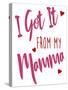 Like Mamma-Elizabeth Medley-Stretched Canvas