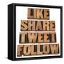 Like, Share, Tweet, Follow Words-PixelsAway-Framed Stretched Canvas