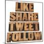 Like, Share, Tweet, Follow Words-PixelsAway-Mounted Art Print