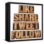 Like, Share, Tweet, Follow Words-PixelsAway-Framed Stretched Canvas