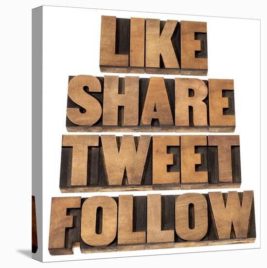 Like, Share, Tweet, Follow Words-PixelsAway-Stretched Canvas