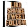 Like, Share, Tweet, Follow Words-PixelsAway-Framed Stretched Canvas