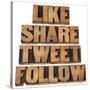 Like, Share, Tweet, Follow Words-PixelsAway-Stretched Canvas