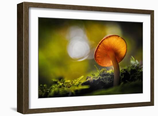 Like Spokes in a Wheel-Ursula Abresch-Framed Photographic Print