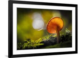 Like Spokes in a Wheel-Ursula Abresch-Framed Photographic Print