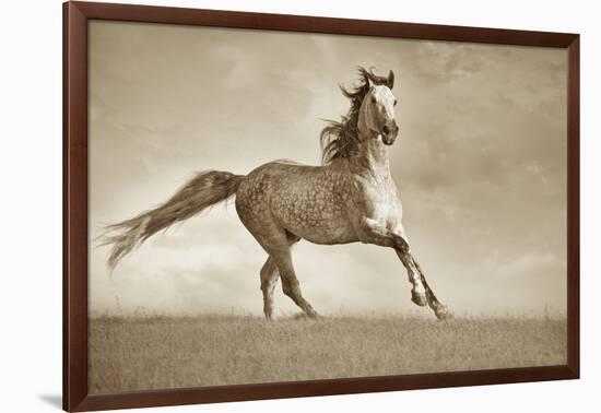 Like the Wind-Lisa Dearing-Framed Photographic Print