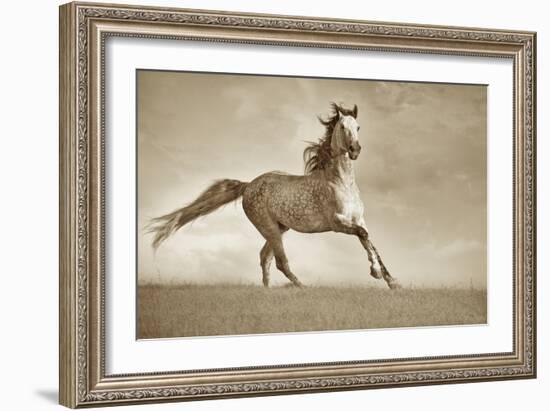 Like the Wind-Lisa Dearing-Framed Photographic Print