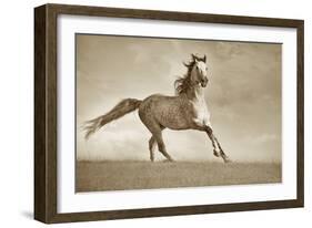 Like the Wind-Lisa Dearing-Framed Photographic Print