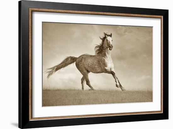 Like the Wind-Lisa Dearing-Framed Photographic Print