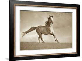 Like the Wind-Lisa Dearing-Framed Photographic Print