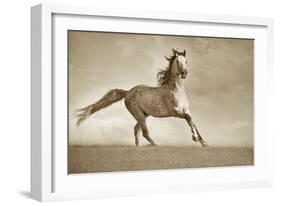 Like the Wind-Lisa Dearing-Framed Photographic Print