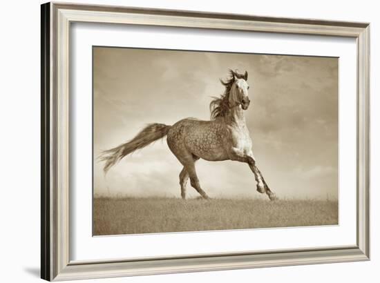 Like the Wind-Lisa Dearing-Framed Photographic Print