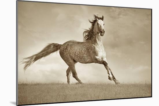 Like the Wind-Lisa Dearing-Mounted Photographic Print