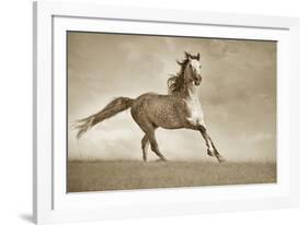 Like the Wind-Lisa Dearing-Framed Photographic Print