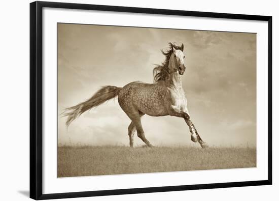 Like the Wind-Lisa Dearing-Framed Photographic Print