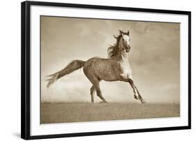 Like the Wind-Lisa Dearing-Framed Photographic Print