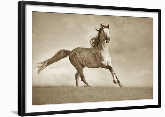 Like the Wind-Lisa Dearing-Framed Photographic Print