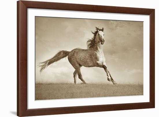 Like the Wind-Lisa Dearing-Framed Photographic Print