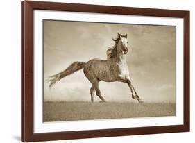 Like the Wind-Lisa Dearing-Framed Photographic Print