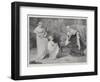 Like This, Grandmamma?-null-Framed Giclee Print