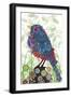 Lil Birdy-Teofilo Olivieri-Framed Giclee Print