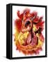 Lil Dragonz Element Series Fire-Sheena Pike-Framed Stretched Canvas