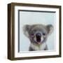 Lil Koala-Lucia Heffernan-Framed Art Print