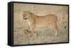 Lil Protection-Susann Parker-Framed Stretched Canvas