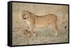 Lil Protection-Susann Parker-Framed Stretched Canvas