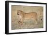 Lil Protection-Susann Parker-Framed Photographic Print