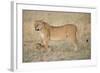 Lil Protection-Susann Parker-Framed Photographic Print