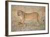 Lil Protection-Susann Parker-Framed Photographic Print