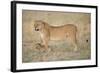 Lil Protection-Susann Parker-Framed Photographic Print