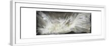 White Frame