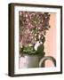 Lilac 2-Philippe Sainte-Laudy-Framed Photographic Print