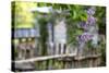 Lilac and Old Wooden Fence-Andrea Haase-Stretched Canvas