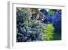 Lilac and Spirea Bloom in a Garden, New Jersey-George Oze-Framed Photographic Print