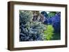 Lilac and Spirea Bloom in a Garden, New Jersey-George Oze-Framed Photographic Print