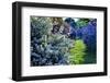 Lilac and Spirea Bloom in a Garden, New Jersey-George Oze-Framed Photographic Print