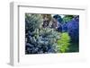 Lilac and Spirea Bloom in a Garden, New Jersey-George Oze-Framed Photographic Print