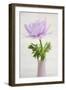 Lilac Anemone-Cora Niele-Framed Giclee Print