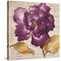 Lilac Beauty I-Lanie Loreth-Stretched Canvas