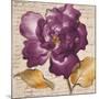 Lilac Beauty I-Lanie Loreth-Mounted Art Print