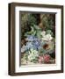 Lilac Blossom and a Bird's Nest-Oliver Clare-Framed Giclee Print