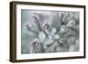 Lilac Blossom I-Kathy Mahan-Framed Photographic Print